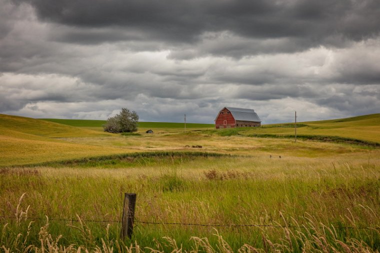 022 Palouse.jpg